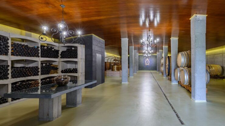 Granbazán Winery: Guided Tour and Wine Tasting - Experience