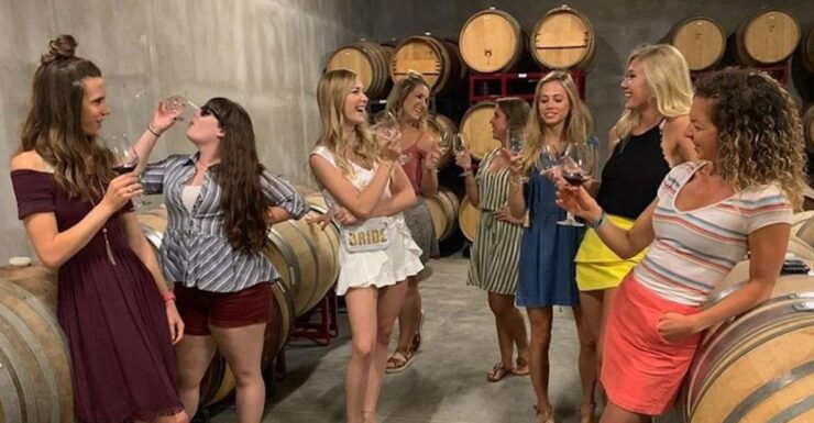 Granbury: Wine Tour With Charcuterie and Local Tastings - Live Guide and Accessibility Information