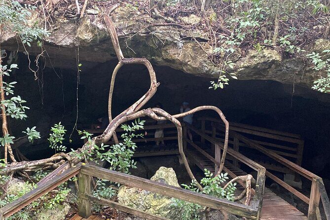 Grand Bahama Private Tour Concierge-Customized Island Experience - The Sum Up