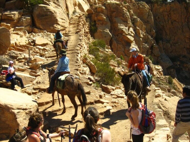 Grand Canyon Full-Day Hike From Sedona or Flagstaff - Activity Details