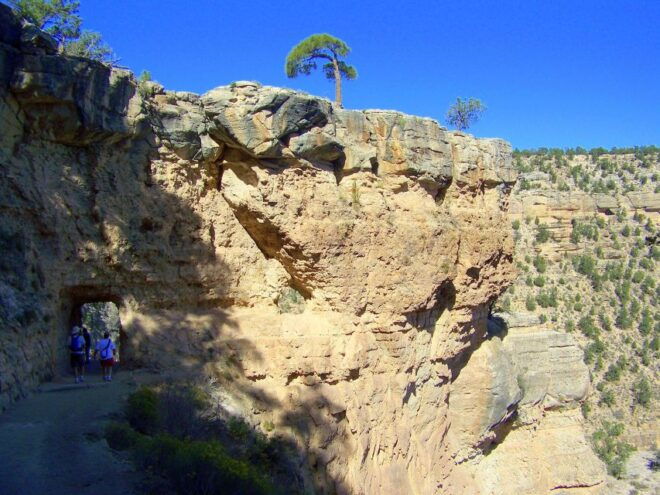 Grand Canyon Full-Day Hike From Sedona or Flagstaff - Location and Product Information