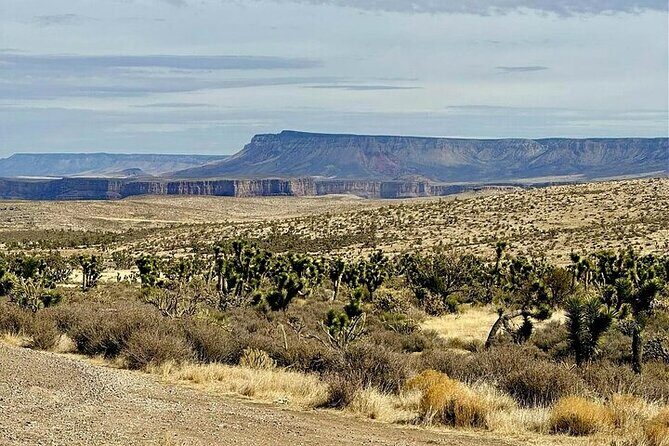 Grand Canyon Glamping & Helicopter Tour by Luxury Car - How to Make the Most of This Tour