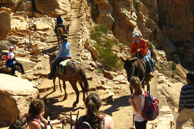 Grand Canyon Hike From Sedona or Flagstaff With 7 Guest Limit - Booking and Contact Information
