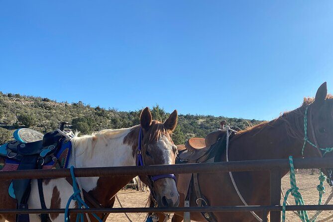 Grand Canyon Horseback Tour - Overview of the Tour Experience