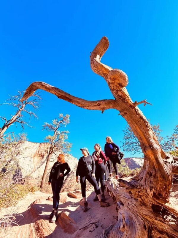 Grand Canyon & Monument Valley Multi-Day Small Group National Park Tour - Is $828.95 good value?