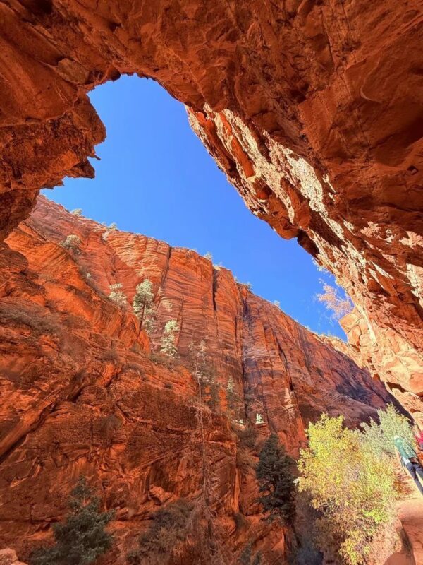 Grand Canyon & Monument Valley Multi-Day Small Group National Park Tour - Booking rules and questions worth asking