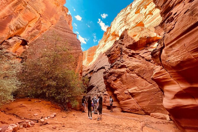 Grand Canyon National Park, Lower Antelope Canyon & Horseshoe Bend, Day Trip - Additional Tips