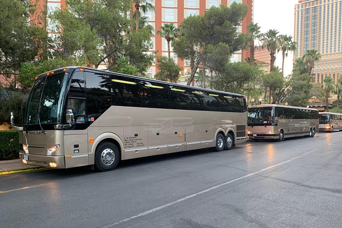 Grand Canyon National Park South Rim Tour From Las Vegas With Lunch - The Sum Up