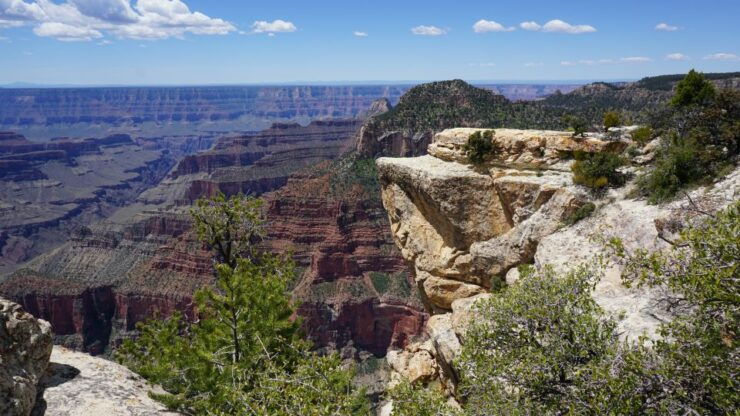 Grand Canyon: North Rim Private Group Tour From Las Vegas - Activity Details and Options