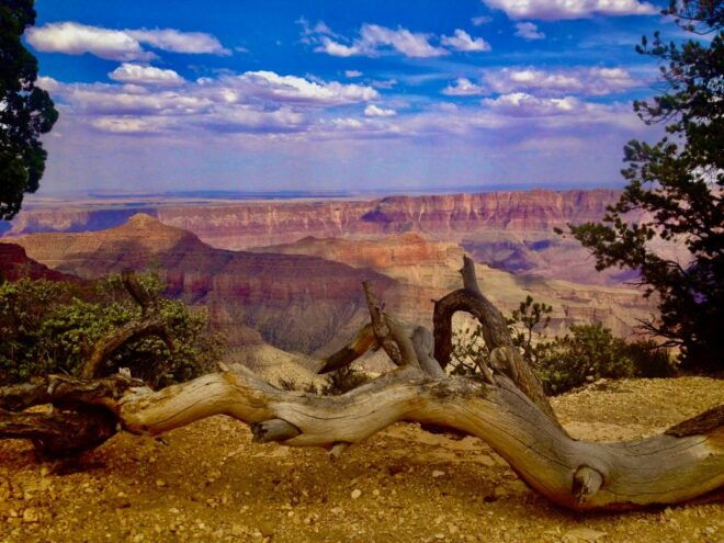 Grand Canyon: North Rim Private Group Tour From Las Vegas - Pickup and Logistics
