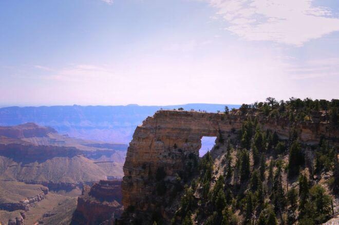 Grand Canyon: North Rim Private Group Tour From Las Vegas - Product ID for the Activity