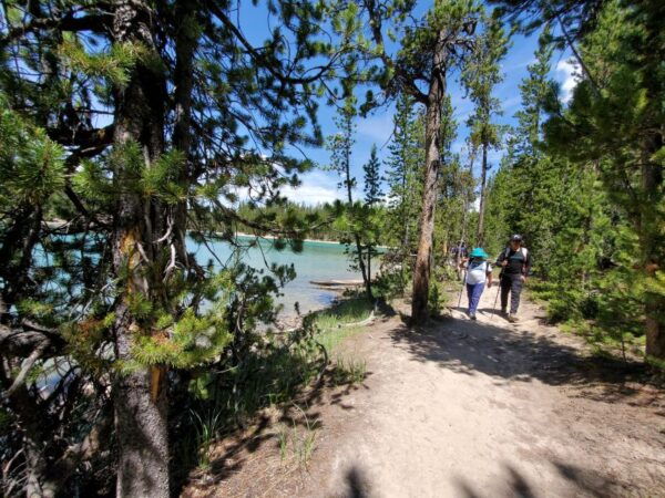 Grand Canyon of the Yellowstone: Loop Hike With Lunch - Visitor Reviews and Additional Information