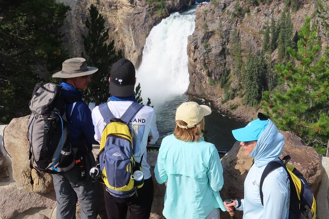 Grand Canyon of the Yellowstone Rim and Loop Hike With Lunch - The Sum Up
