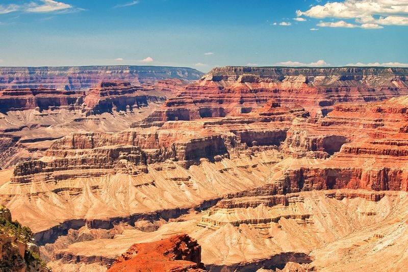 Grand Canyon South Rim Bus Day Tour - The South Rim Is Worth the Long Ride