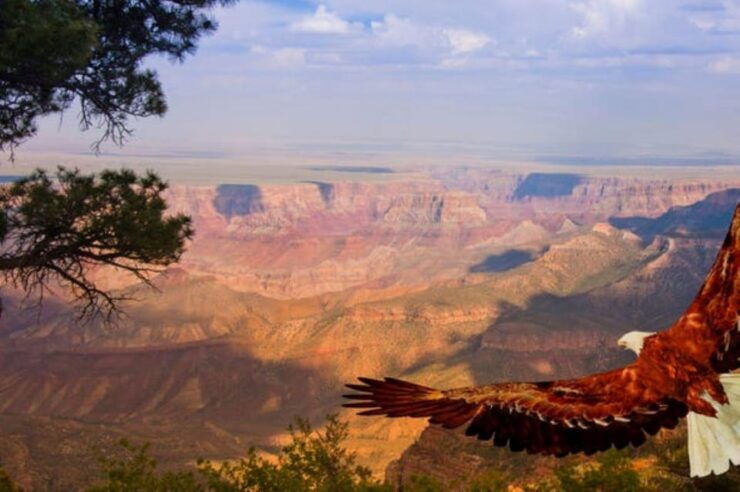 Grand Canyon West: 1-Day Entrance Ticket - Experience Highlights