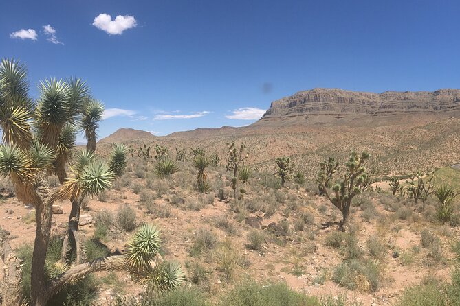 Grand Canyon West Rim Cabin and Helicopter Tour From Las Vegas - Meeting, Pickup, and Logistics