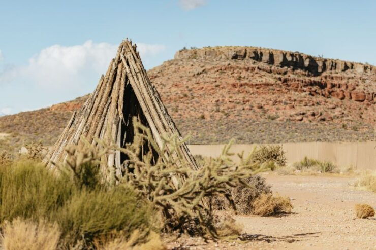 Grand Canyon West Rim VIP Luxury Small Group Tour - Availability and Pickup