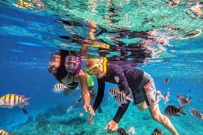 Grand Cayman 2-Stop Snorkeling and Stingray City Combo Adventure - Final Thoughts