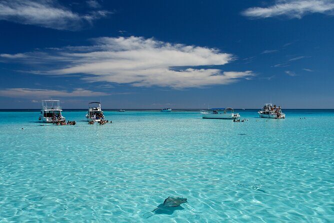 Grand Cayman 3-Stop Snorkel Adventure: Stingray City & Reefs Tour - Good To Know