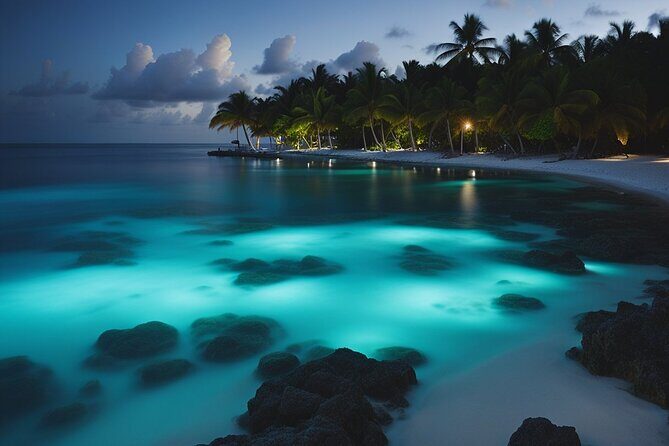 Grand Cayman Bioluminescence Adventure - What’s Included & What to Consider