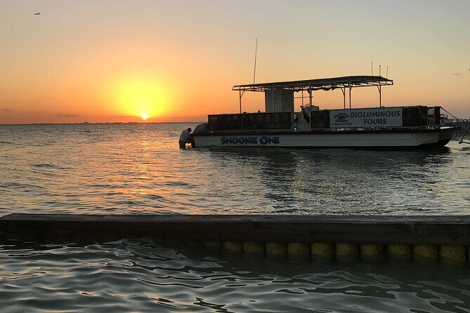 Grand Cayman - Bioluminescent Bay Tour - Weather and Practical Tips