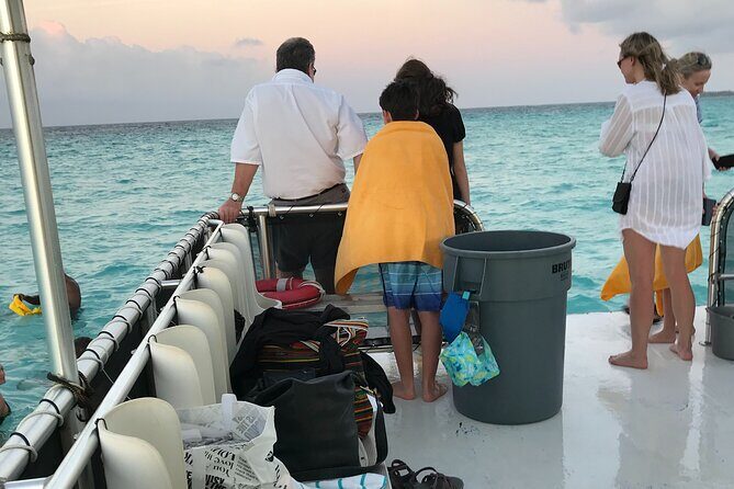 Grand Cayman - Bioluminescent Bay Tour - Who Will Love This Tour?