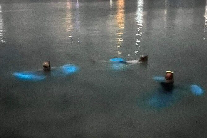 Grand Cayman - Bioluminescent Bay Tour - Frequently Asked Questions