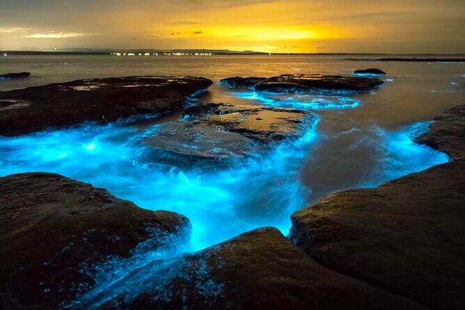 Grand Cayman Bioluminescent Bay Tour - Practical Details and What to Pack