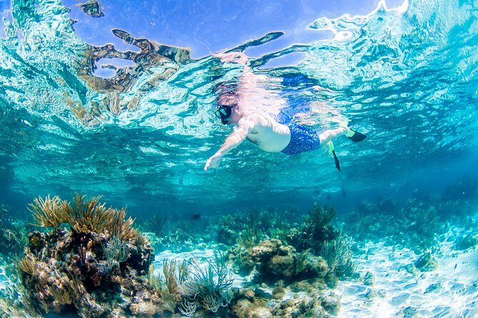 Grand Cayman Kittiwake and Reef Sail - Who Is This Tour Best For?