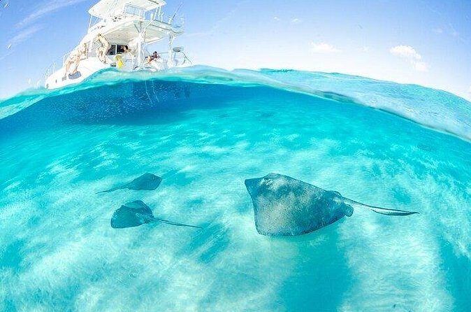 Grand Cayman Reef & Stingray City Snorkeling Adventure - Who Should Consider This Tour?