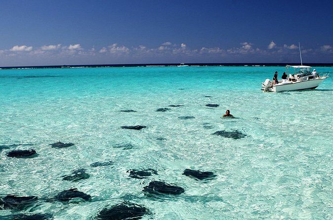 Grand Cayman Stingray City and Reef Snorkeling Combo Tour - The Sum Up
