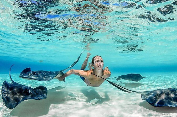 Grand Cayman Stingray City Sandbar Adventure - The Sum Up