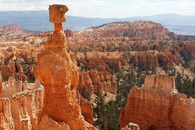 Grand Circle 12-Day Experience - Price and Terms & Conditions