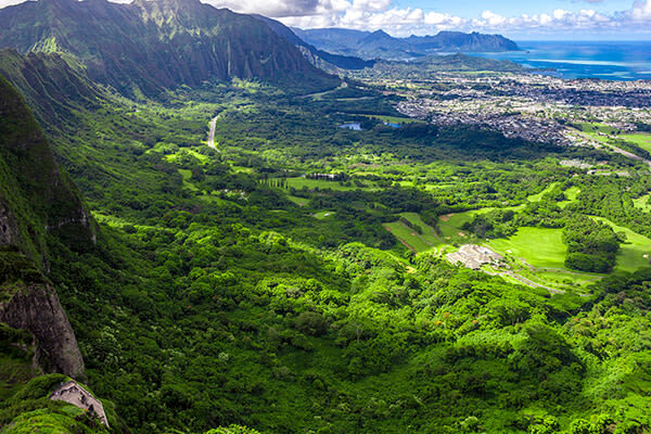 Grand Circle Island & Haleiwa Tour in Oahu - A quick way to see more of Oahu