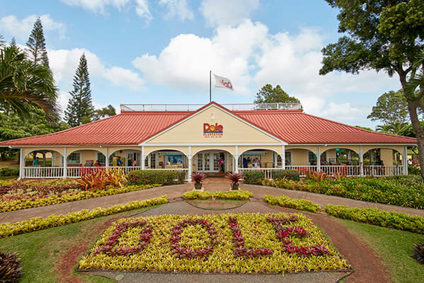 Grand Circle Island & Haleiwa Tour in Oahu - A brisk pace favors first-time visitors