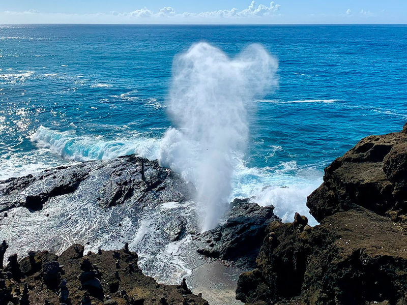 Grand Circle Island & Haleiwa Tour in Oahu - Is $161 a fair price?