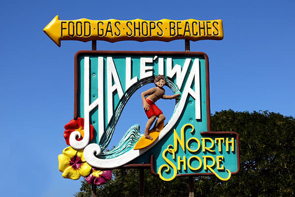 Grand Circle Island & Haleiwa Tour in Oahu - Confirm the meeting point before tour day