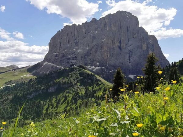 Grand Dolomites Tour to Fiemme & Fassa Valleys & Pordoi Pass - Cultural Insights of Ladino Traditions