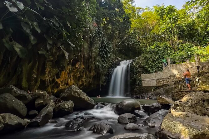 Grand Etang Lake, Annandale WaterFalls & Fort Frederick Grenada - Who Will Love This Tour?