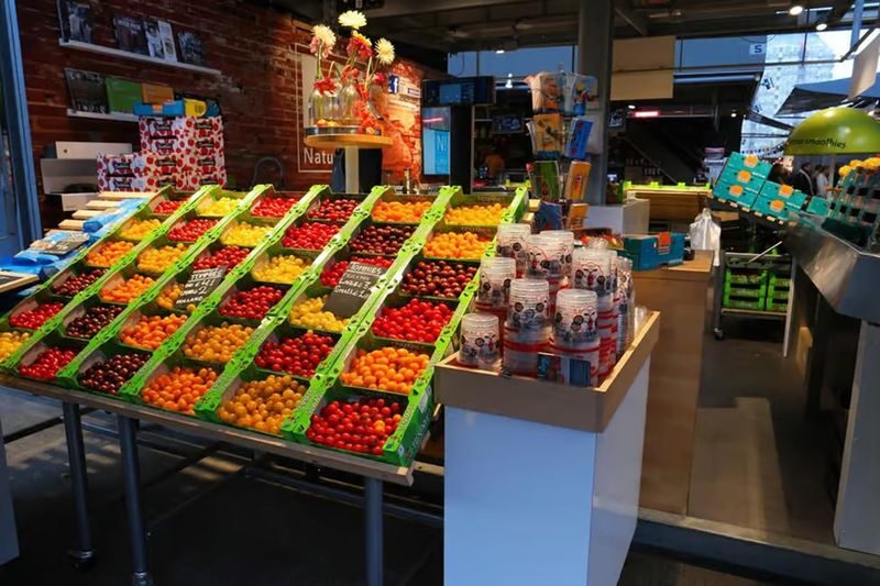 Grand Holland Rotterdam and The Hague Guided Day Tour - Guides shape how much context you take home
