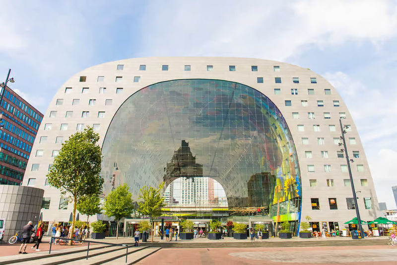 Grand Holland Rotterdam and The Hague Guided Day Tour - Who gets the most from this day trip