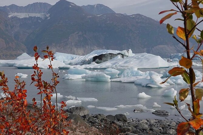 Grand Knik Helicopter Tour - 2 Hours 3 Landings - ANCHORAGE AREA - Positive Reviews