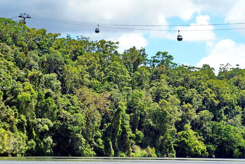 Grand Kuranda Full Day Tour from Cairns - A short visit to Kuranda village and the butterfly sanctuary