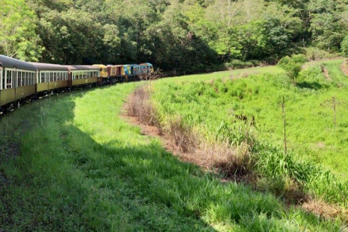 Grand Kuranda Full Day Tour from Cairns - Skyrail: a canopy-level return to Cairns
