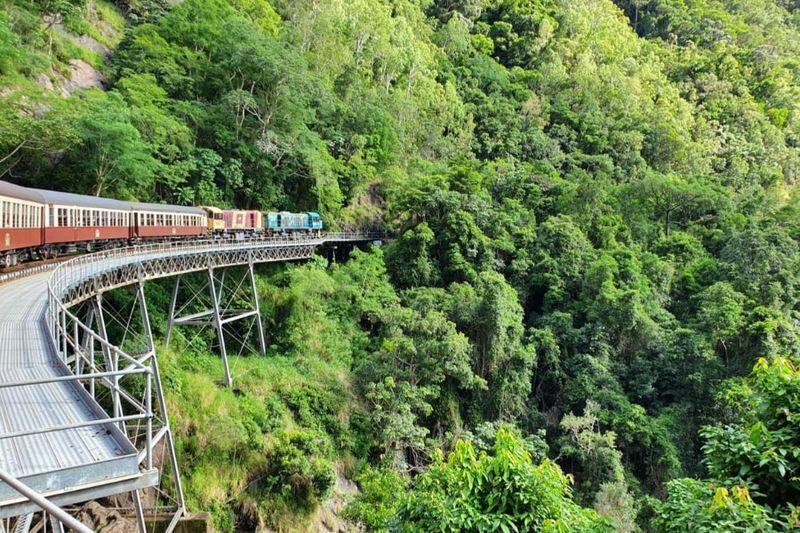 Grand Kuranda Full Day Tour from Cairns - Should you book this Kuranda tour?