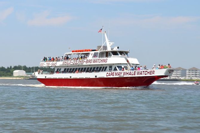 Grand Lighthouse Tour From Cape May - Lighthouse Itinerary