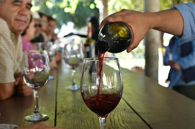 Grand Mexico Wine Country Tour from San Diego - Good To Know