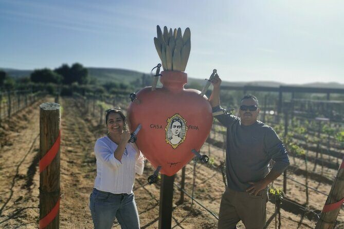 Grand Mexico Wine Country Tour from San Diego - Discovering Baja California’s Hidden Gem