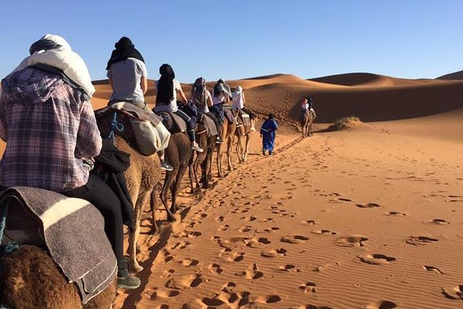 Grand Morocco Tour: North to South - 10 Days - Day 6: Atlas Mountains Experience