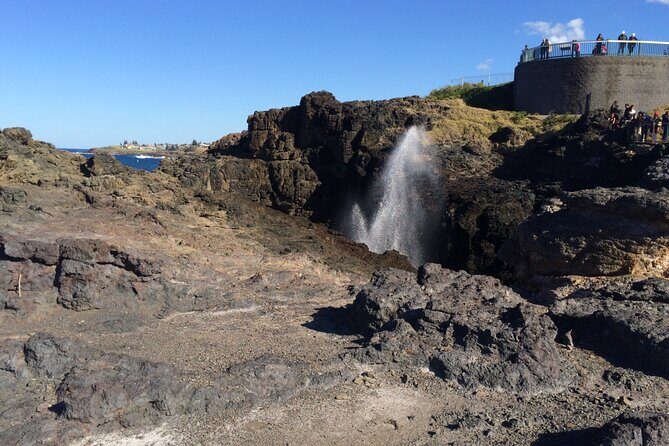 Grand Pacific Drive and Southern Highlands Tour - Tips for Making the Most of the Tour